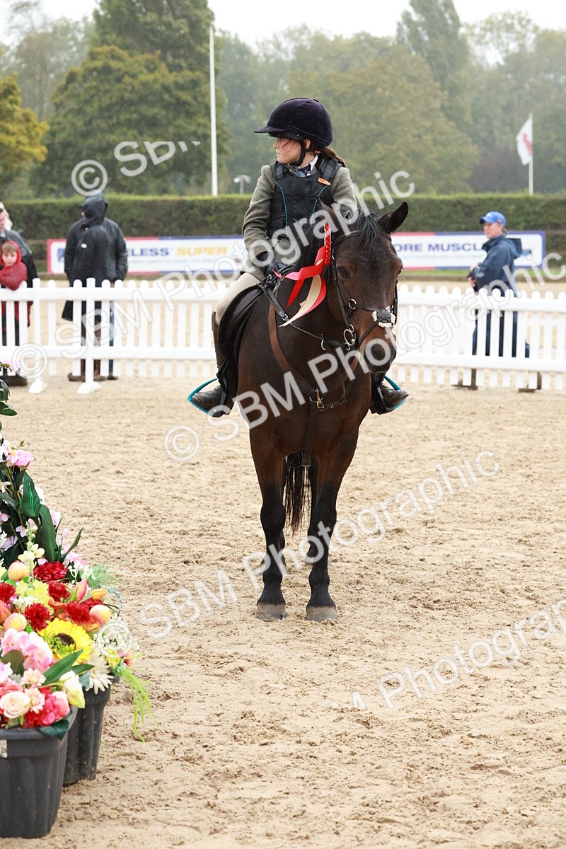 SBM_73620 - Supreme Championship Junior Pony 60cm & 65cm