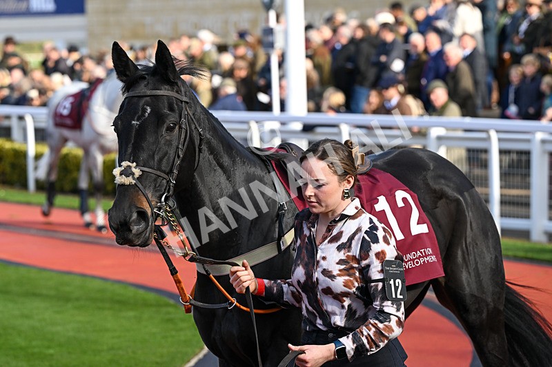 241025-Race 3-Diamond Tipp-2946 - Race 3