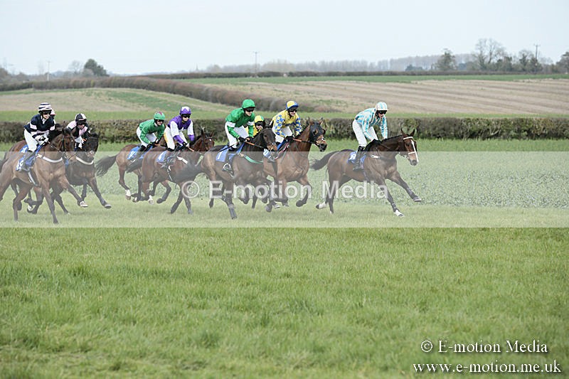 PtP 230319 143 - VWH Hunt Siddington Point-to-Point Racing 23/03/19