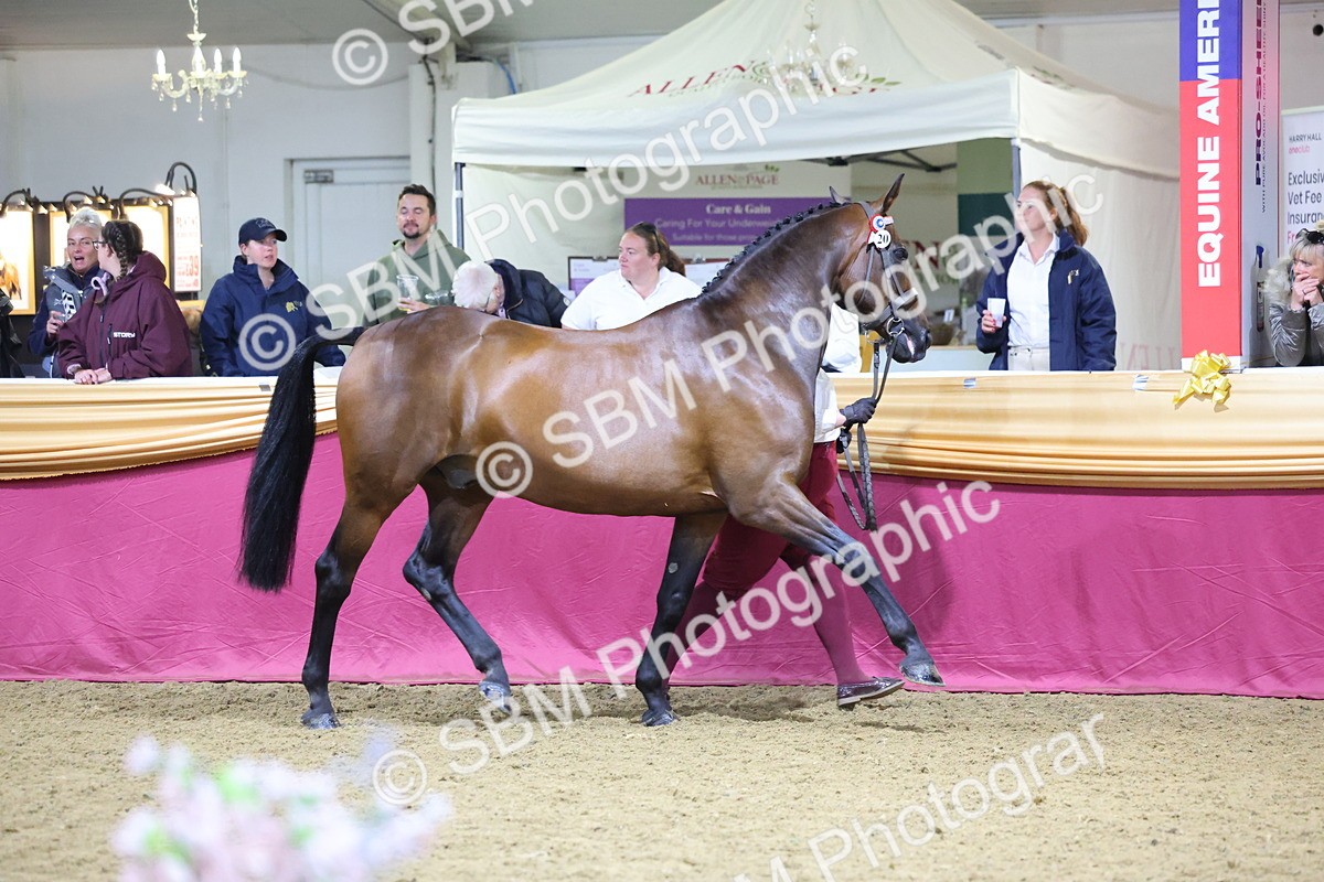 0B8A4785 - Class T Champion of Champions