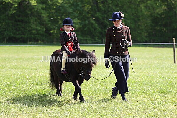 IMG_4900 - Working Hunter