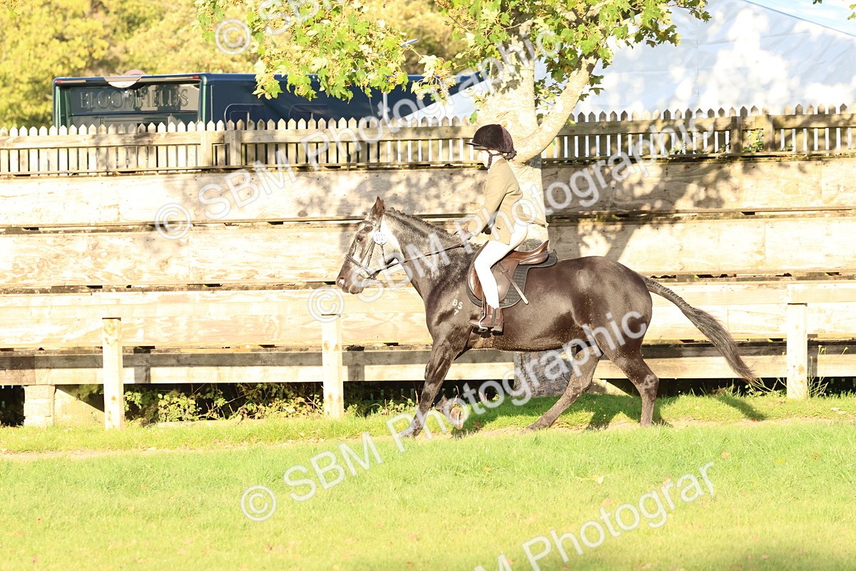 SBM_53072 - S29 - Mature Veteran Ridden