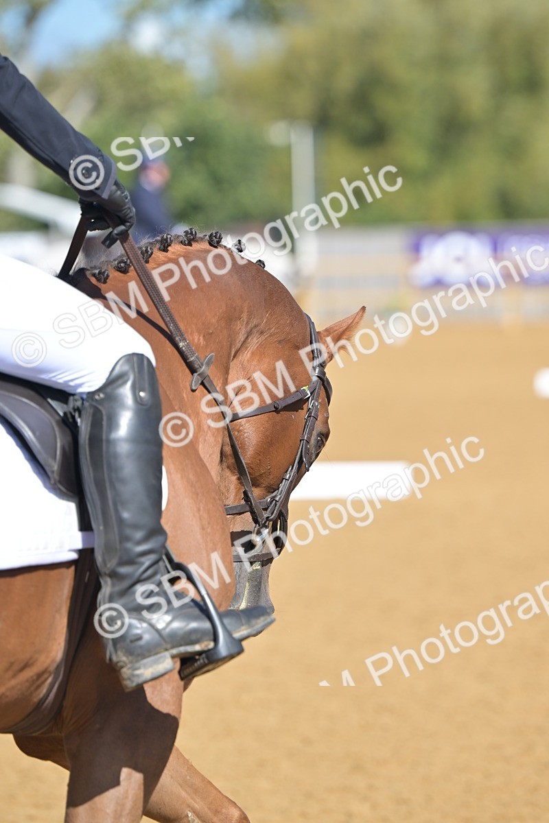 SBM_04019 - D2 - Small Tour Championship Intro 2