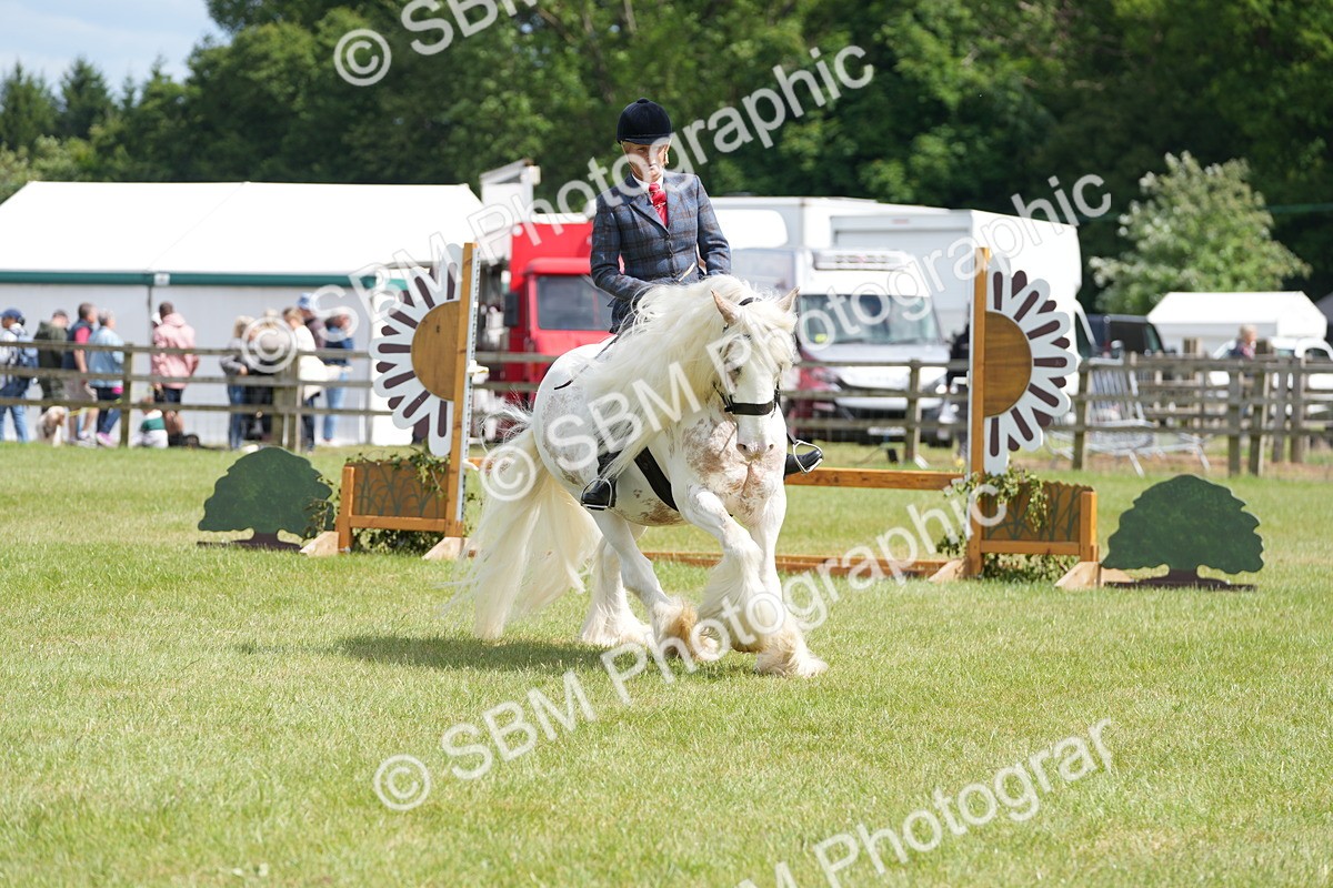 SBM_17179 - Class 107-108 - LIHS BSPS Performance Coloured Horse Pony