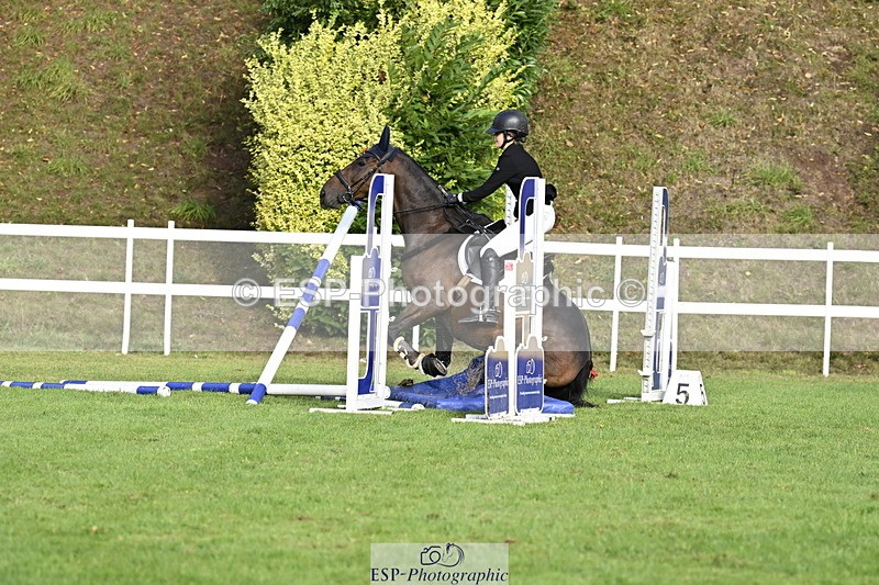 250831A-084153-09042 - Cls 34 Snr Foxhunter