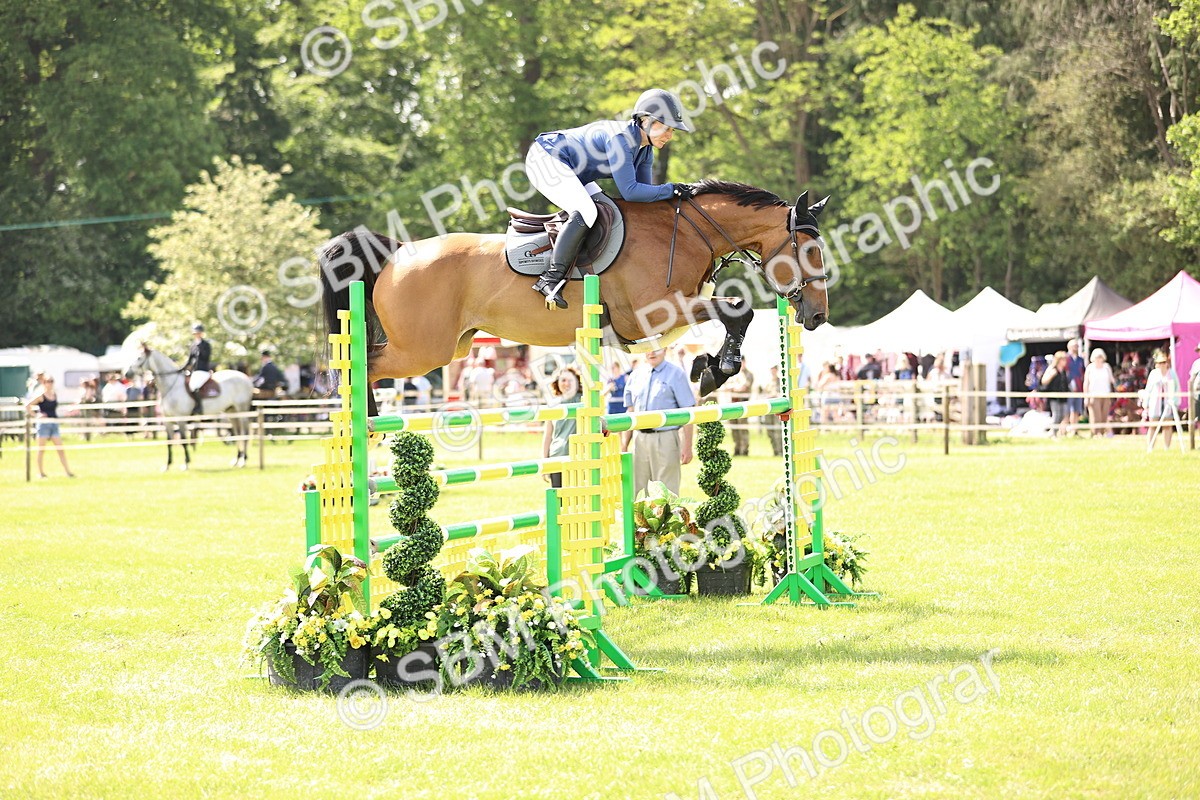 SBM_03040 - Class 201 - British Horse Feedds Speedi Beet HOYS Grade C