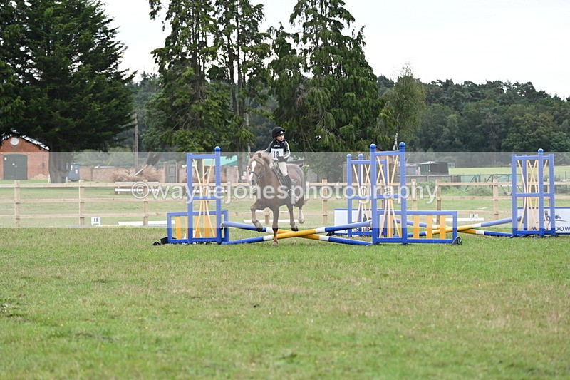 WJ6_0295 - 40cm Time 10:00 to 10:28