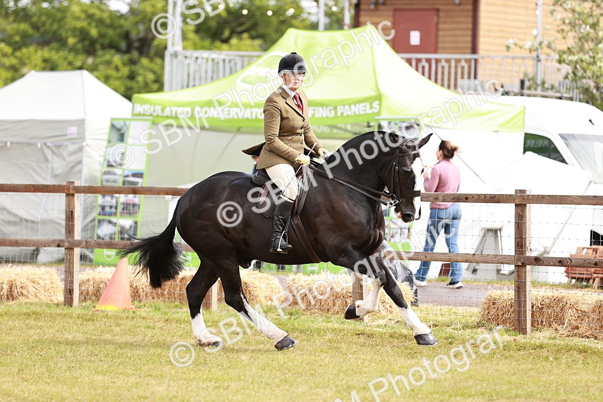 SBM_13085 - Class 85-87 - RIHS Cobs