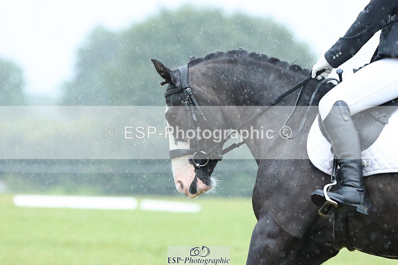 240824X-083409-21816_D70 Section C and D 830 to 930 - 077-305-1048