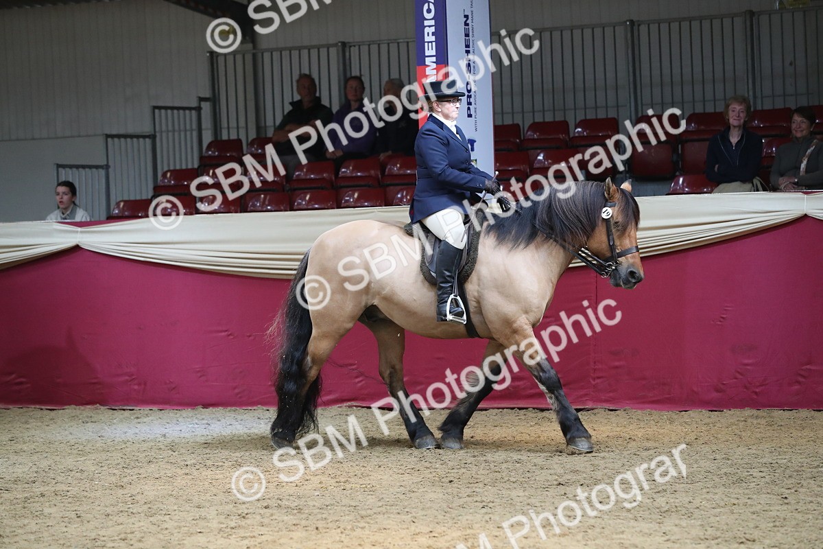 SBM_16270 - Class 502 M&M Ridden Supreme Final