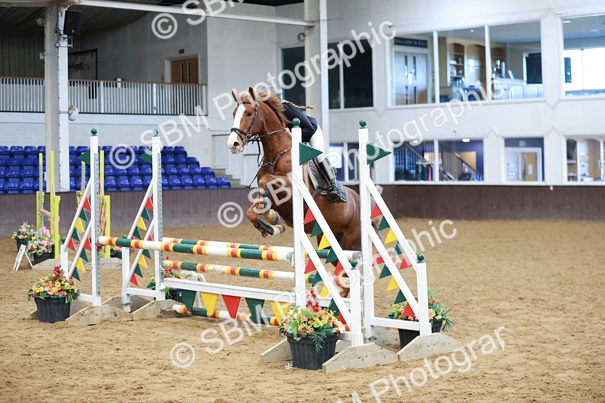 SBM_002996 - Class 9 - Senior British Novice - 90cm