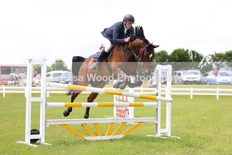 3E7A7152 - Class 12: Senior Foxhunter/1.20 open