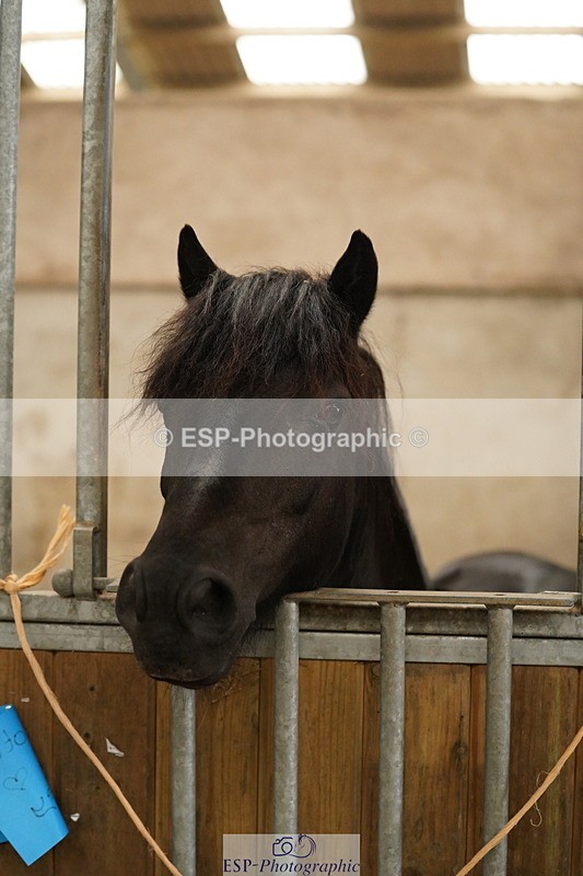 240809A-134430-00995 - Stable Shots