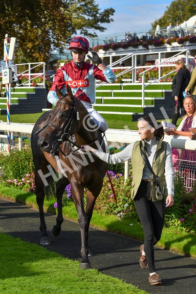 230923-Race 5-Vintage Clarets-6851 - Race 5 4.20pm Vickers.Bet Handicap