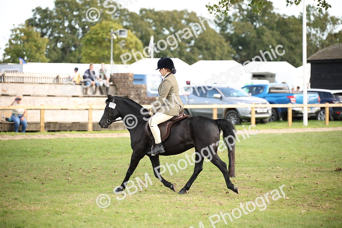 SBM_50160 - S26 - Young Veteran - Ridden