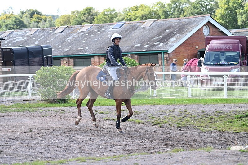 WJ7_0248 - Time 11:02 to 11:34