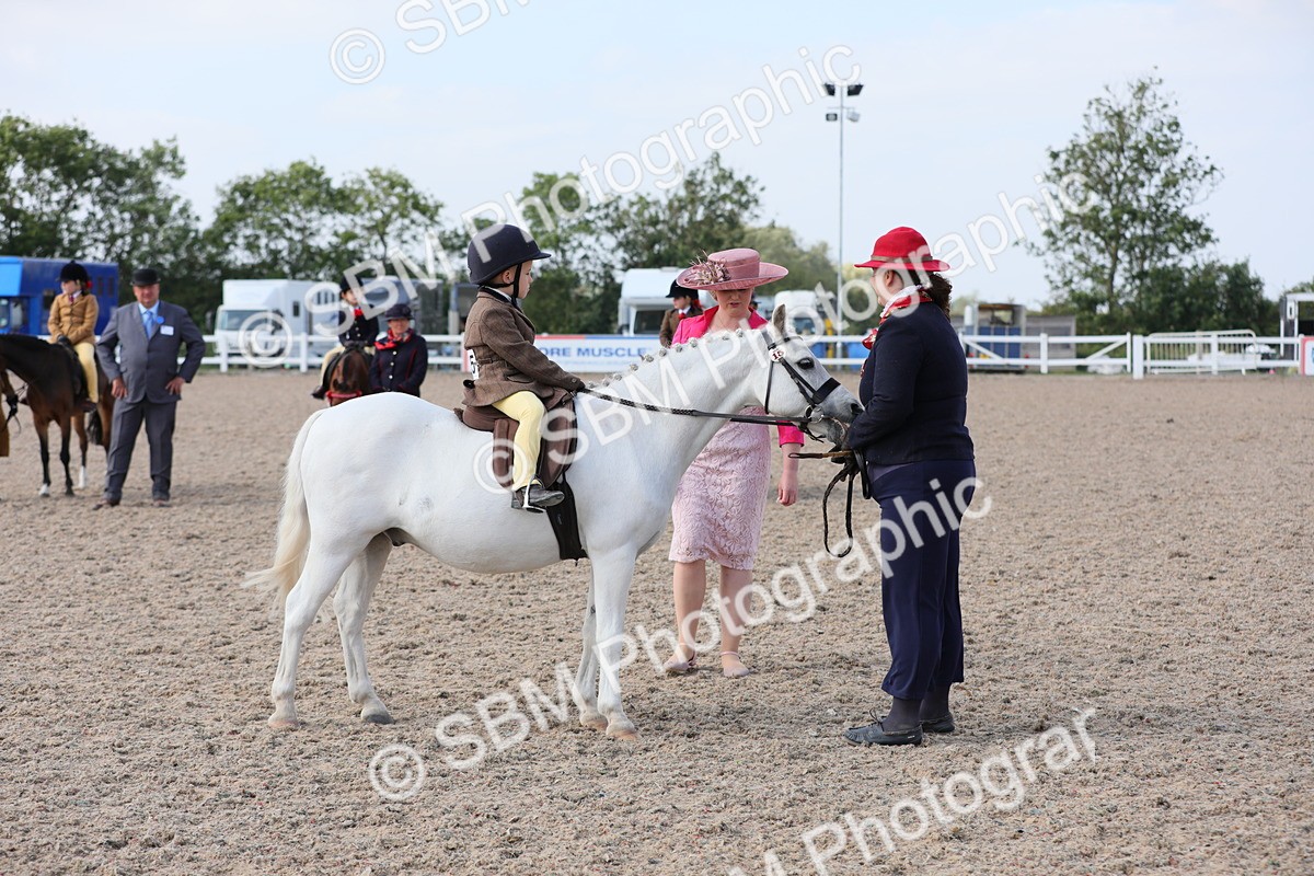 SBM_14017 - Class 309 Lead Rein Pony