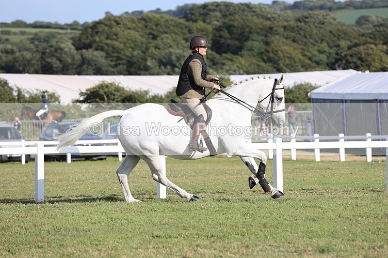 JPP_3350 - Class 22: Working Hunter 90cm