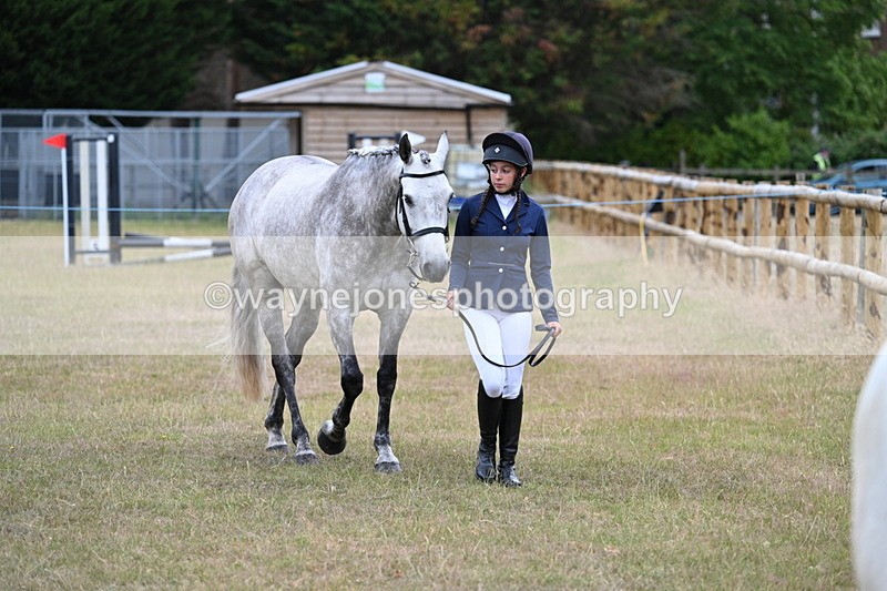 WJ7_9028 - Class 4a Prettiest Mare 14.2hh and over