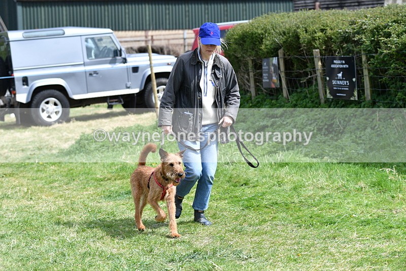 WJ5_0390 - Class 7 Best Terrier