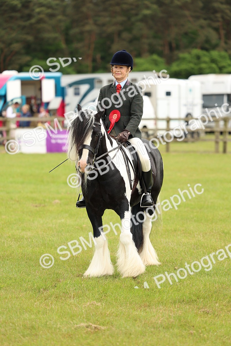 SBM_06283 - Class 39-41 TGCA In Hand and Ridden