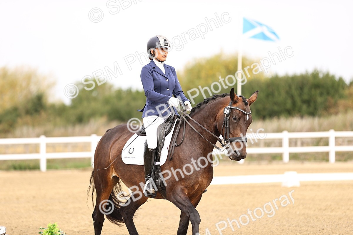 SBM_011598 - Class 1 - Medium 5