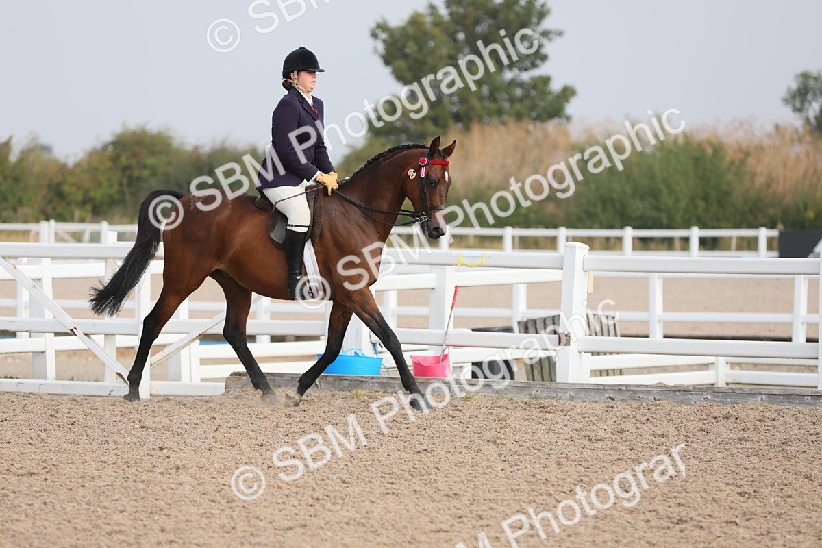 SBM_10875 - Class 304 Ridden Part Bred Horse/Pony