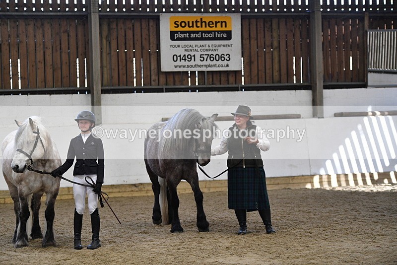 WJ5_4441 - Class 6 In hand M&M - Large Breeds