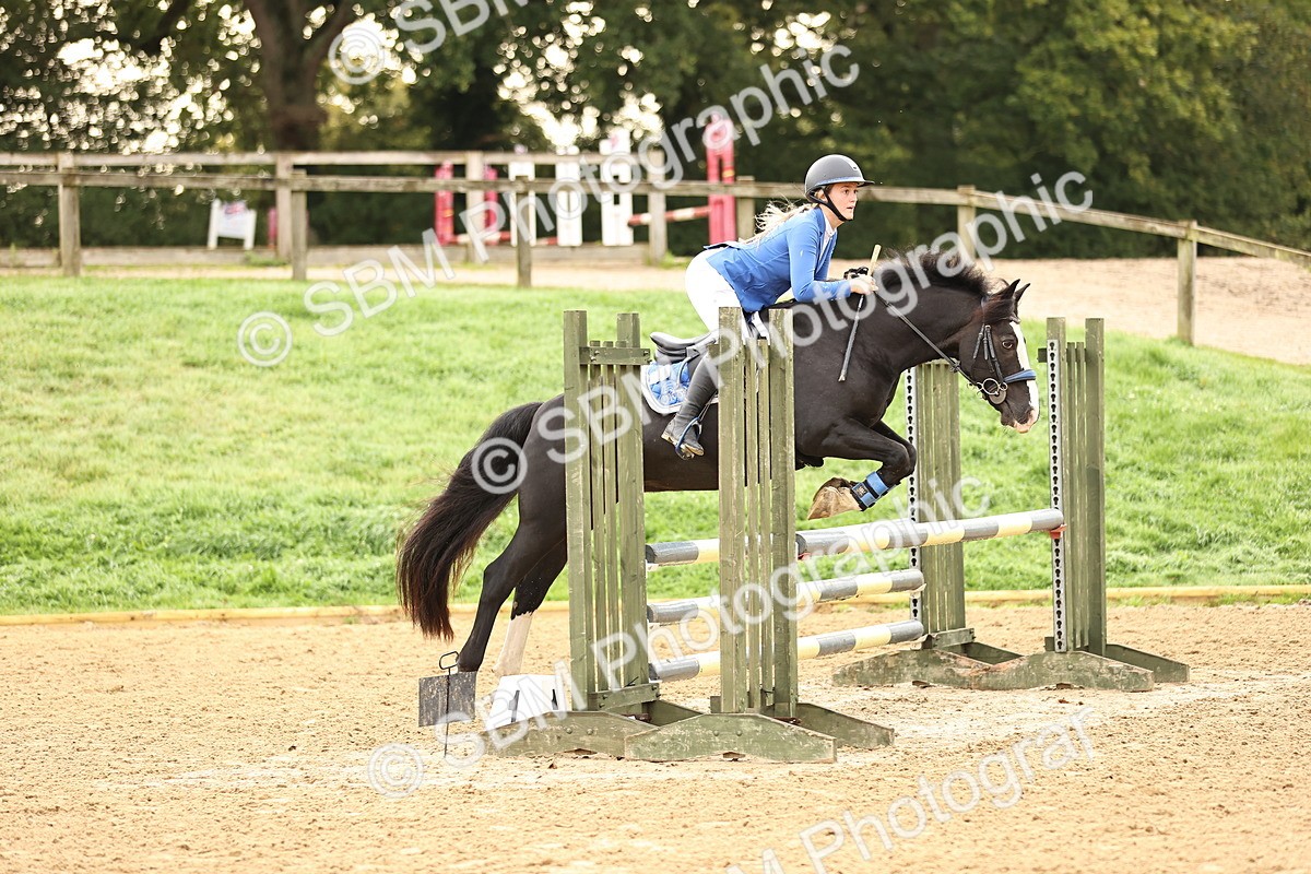 SBM_58251 - J41 - Grand Tour Horse & Pony 95cm