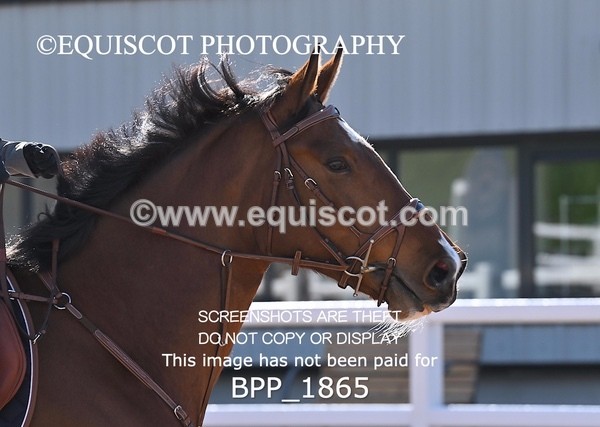 BPP_1865 - CLASS 2 - FRI - KBIS Club Senior 80cms