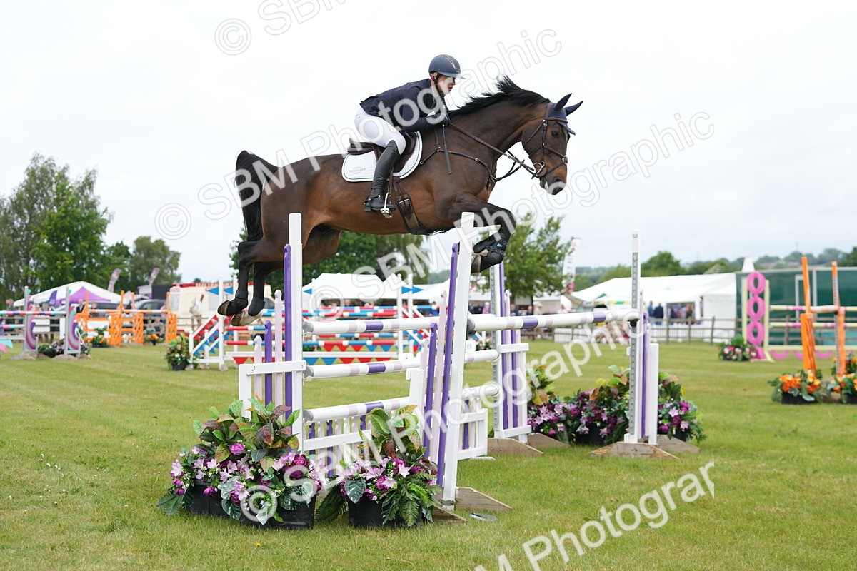 SBM_03059 - Class 201 - British Horse Feeds Speedi Beet Horse of the Year Show Grade  C