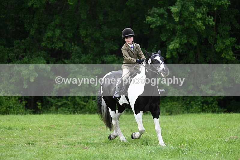 WJ7_2393 - Class 12A Coloured Class