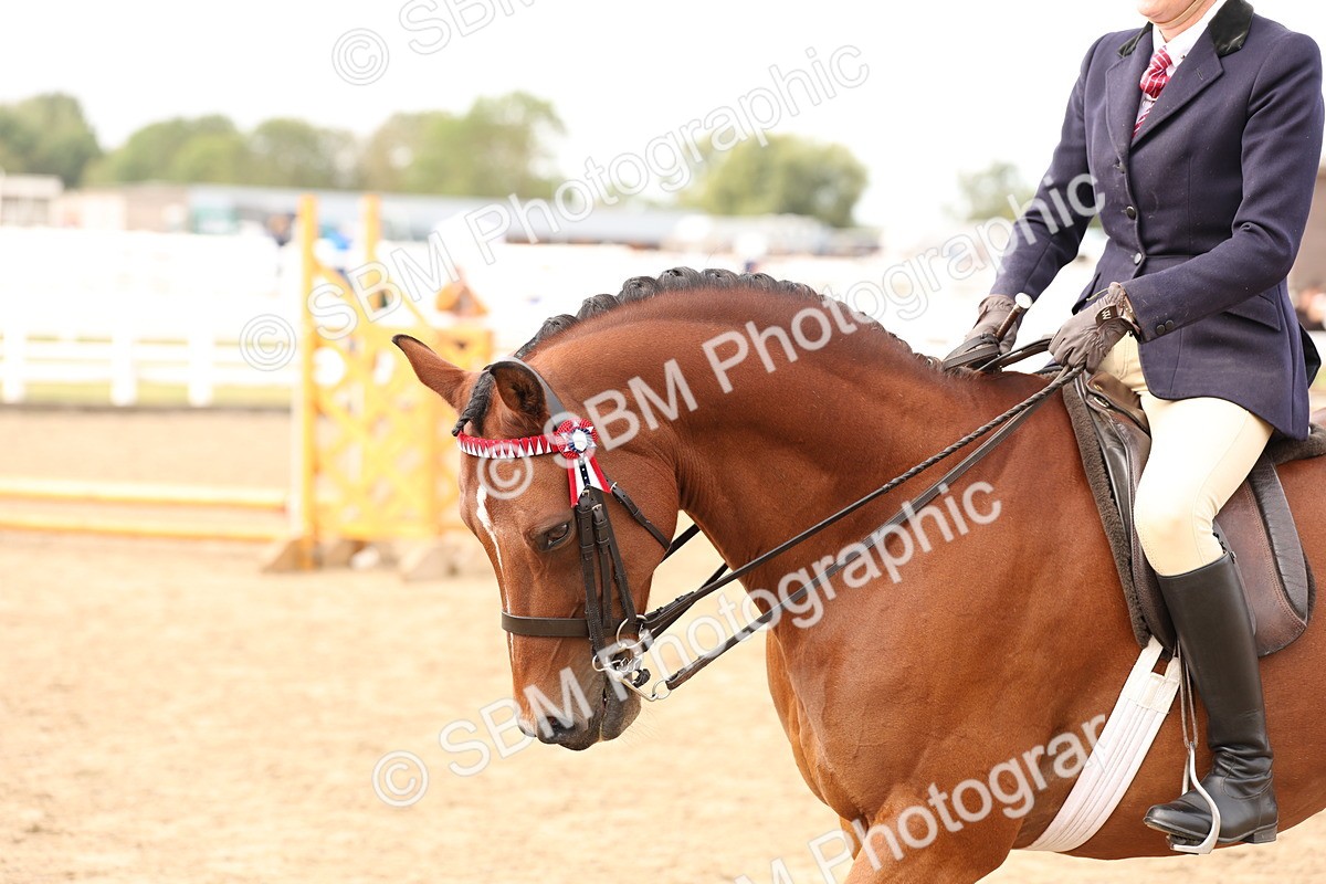 SBM_01523 - Class 52 - Ridden Veteran