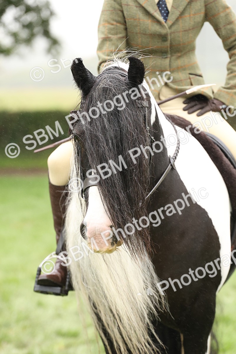 SBM_72814 - S70 - Traditional Cob Ridden
