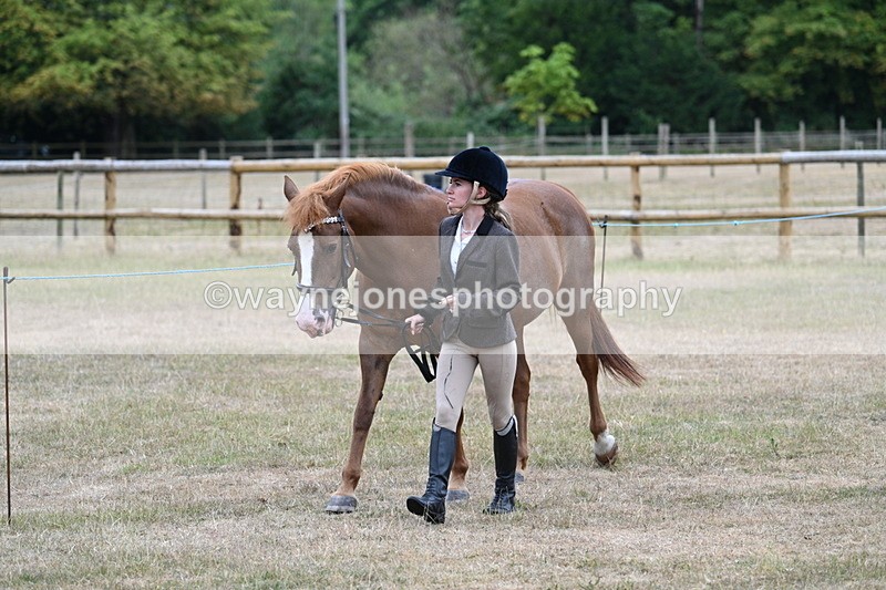 WJ7_8000 - Class 4 Prettiest Mare up to 14.2hh