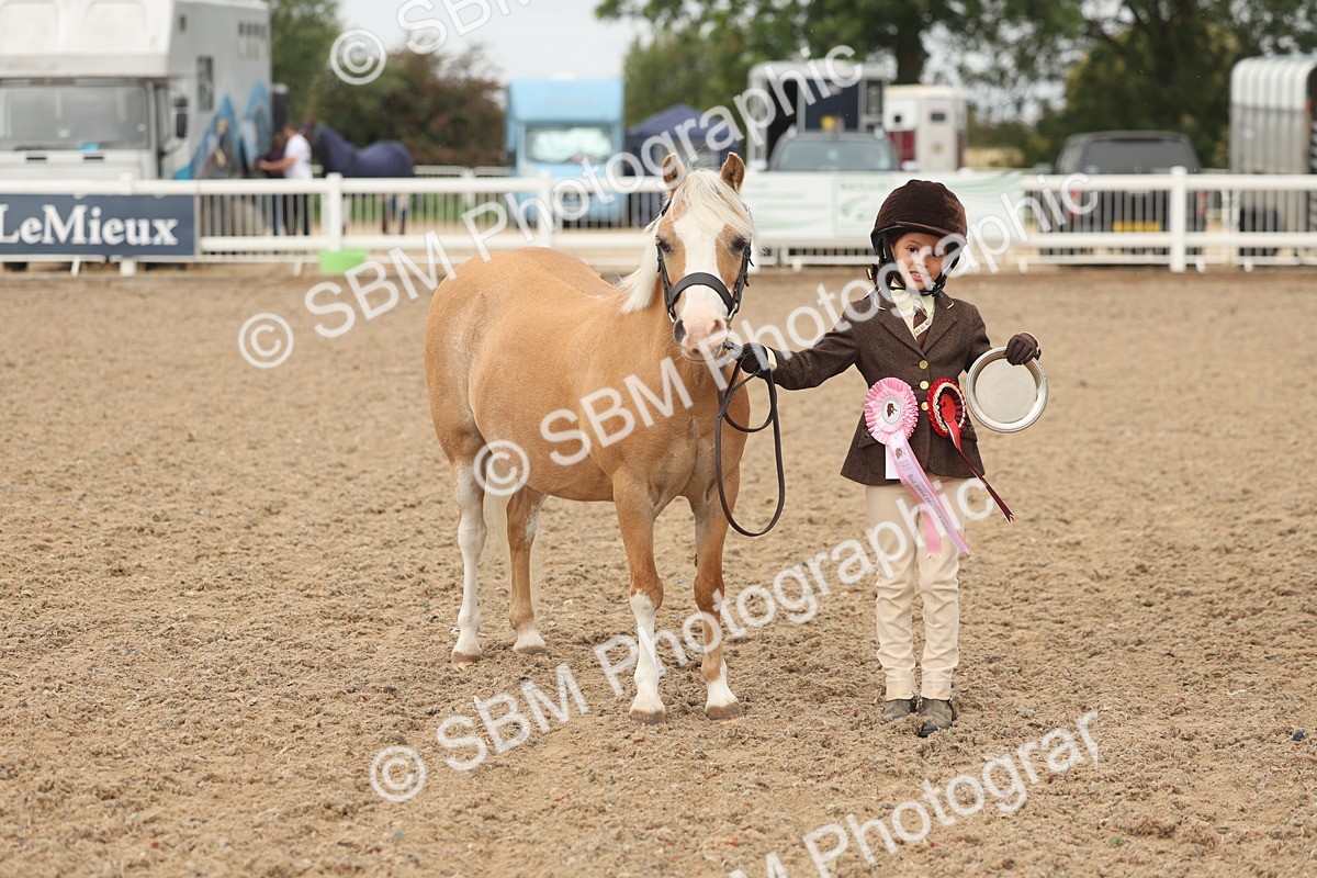 SBM_00614 - Class 13 Young Handler