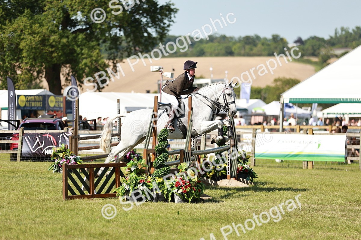 SBM_18846 - Class 114 - RIHS & SEIB Open Working Show Horse