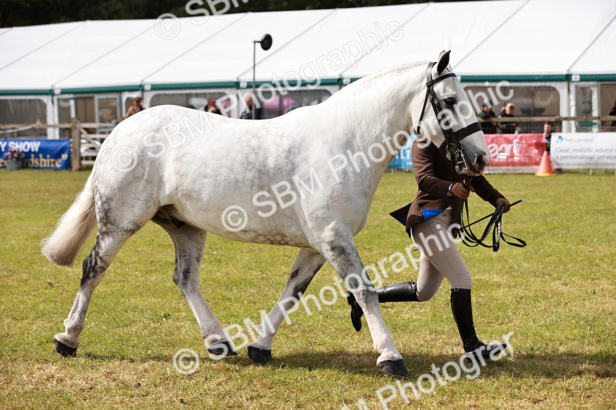 SBM_13139 - Class 85-87 - RIHS Cobs