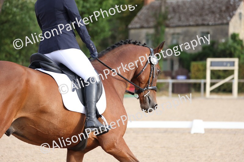 20250820-0054 - Class 5 - Team Quest Novice 2