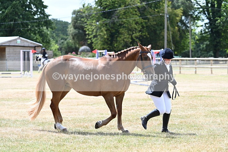 WJ7_1994 - Class 4a Prettiest Mare 14.2hh and over hand