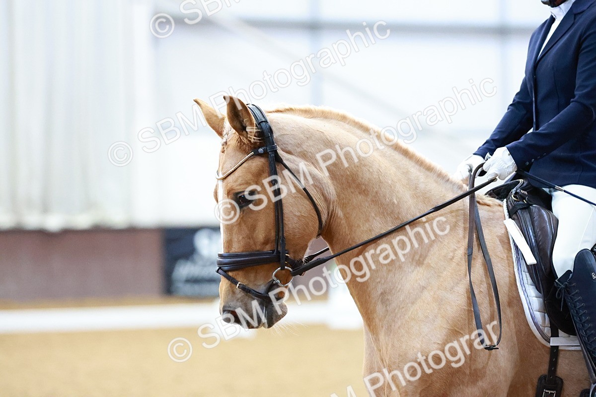 SBM_001168 - Class 18-15-16-22 - Elementary 5 Novice 5-Novice 6