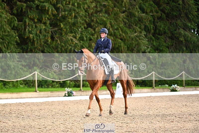 231021-161034-21039 - 264-BEST.ENDEAVOUR-Freddie.Taylor-DR