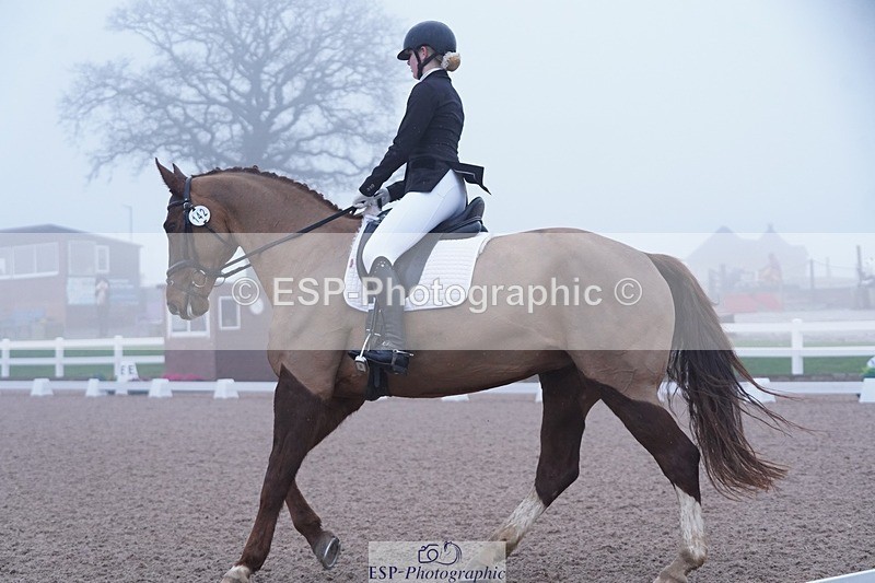 250215-094518-02694 - 142-Daisy.Hedges-Felicia.v