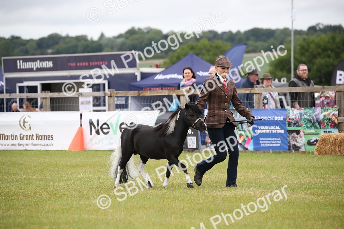 SBM_03716 - Class 23-25 - British Miniature Horse of the Year