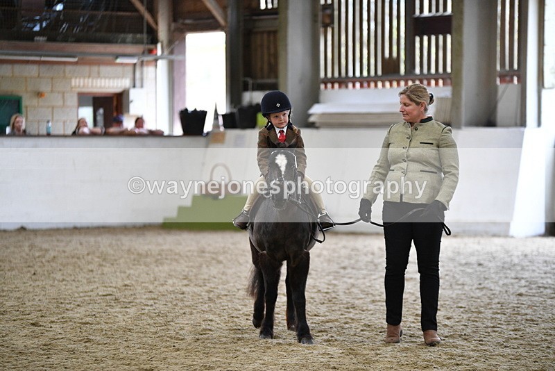 WJ5_6629 - Class 10 Childs Pony
