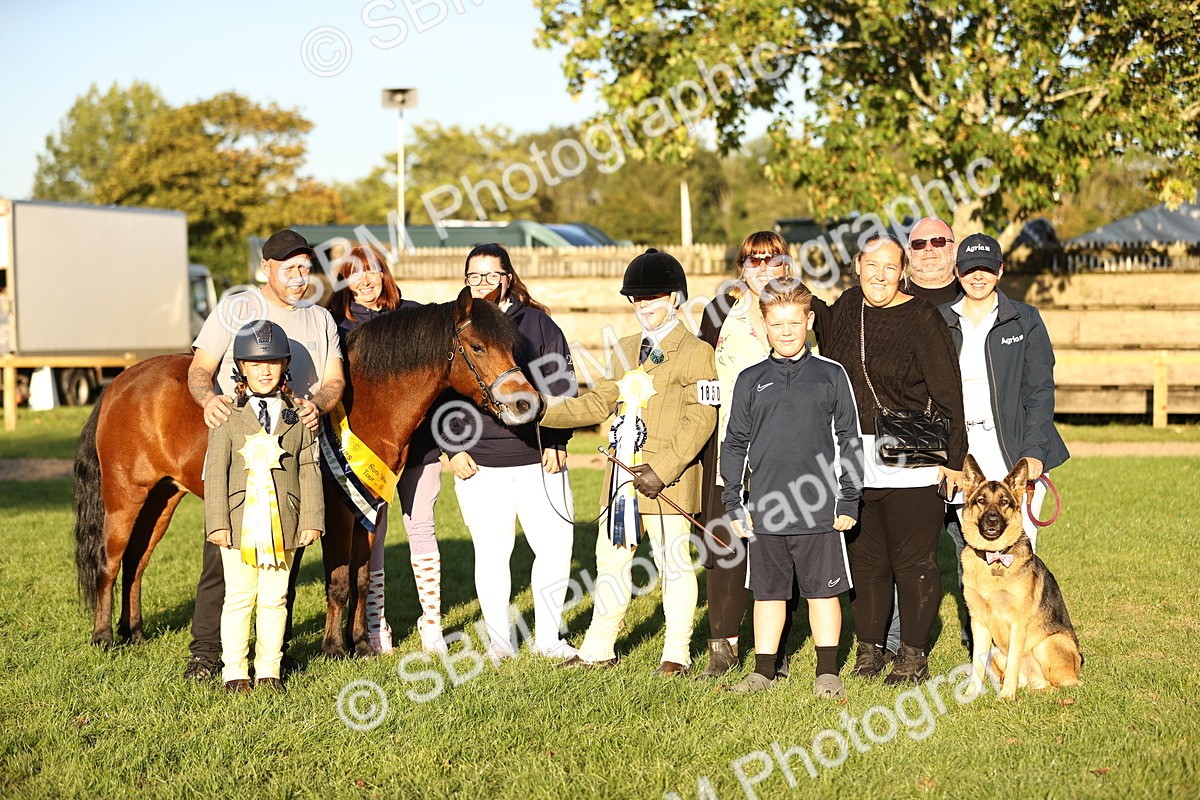 SBM_30164 - Novice & Newcomers Supreme Championship