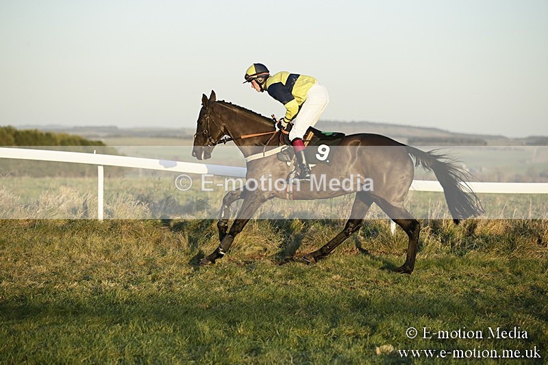 PtP 070118 -735 - Larkhill Racing Club Point to Point Larkhill 07/01/2018