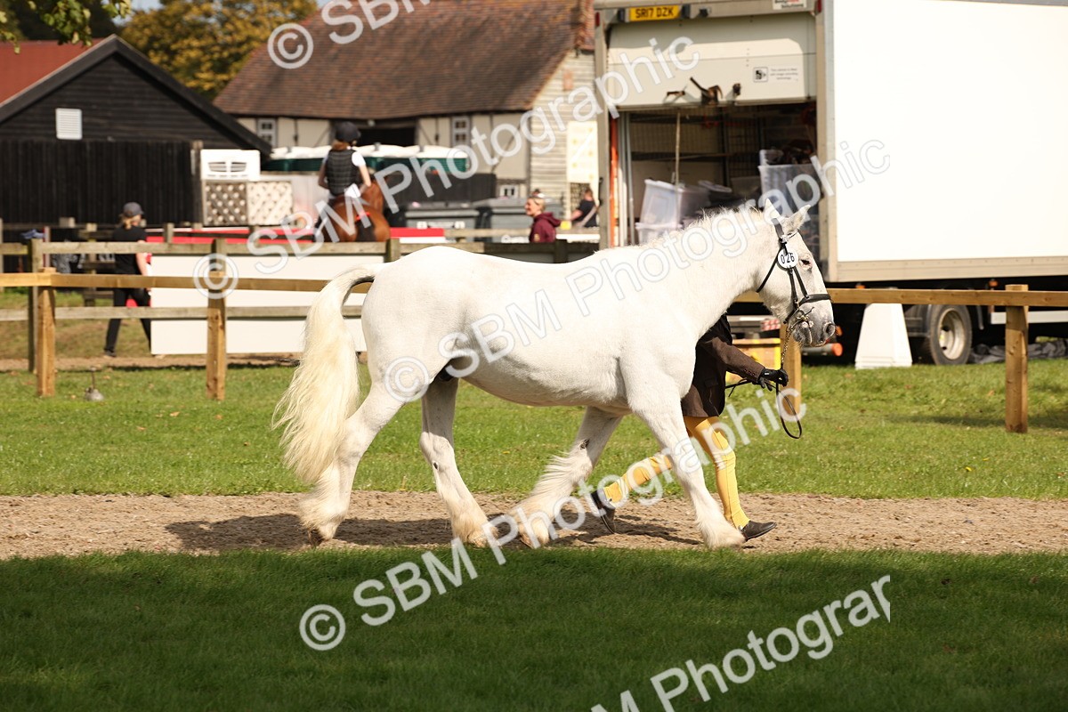 SBM_46336 - S25 - Mature Veteran In Hand