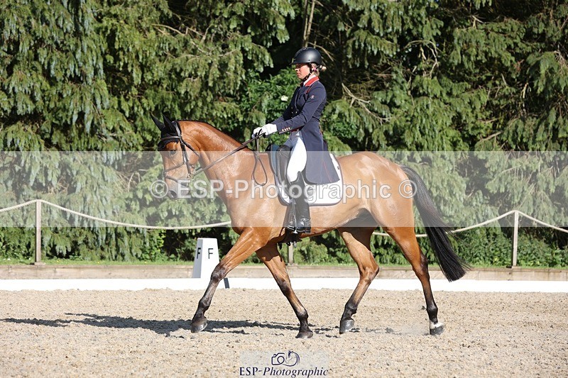 230526-175047-08044 - 182-HARTHILL_FLAMENCO-Izzy_Taylor-WEDTrotUp+DR