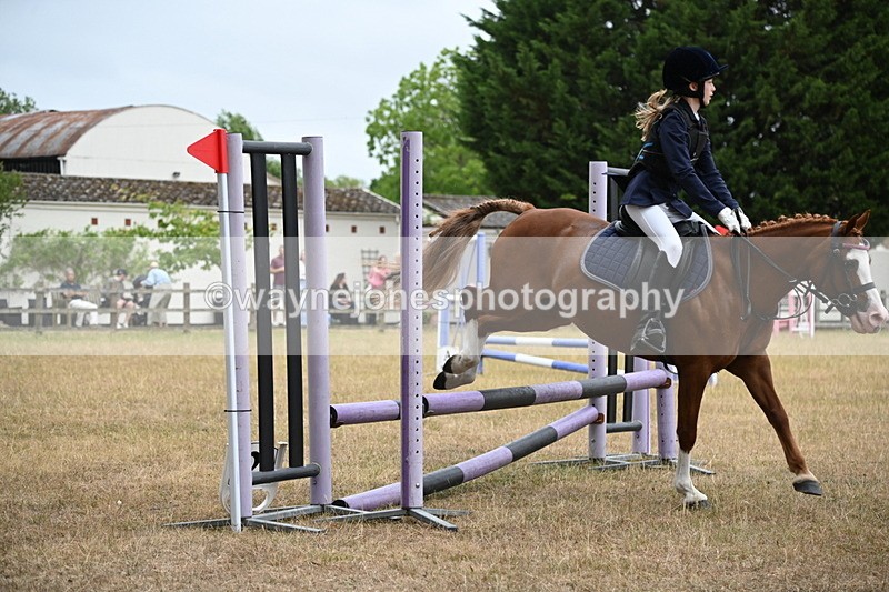 WJ6_0135 - Class 13 Novice Jumping 60cm